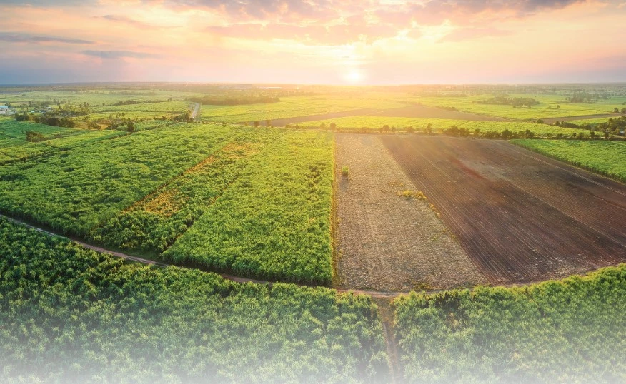 เคาะแล้ว ลดค่าธรรมเนียมโอน-จดจำนองเหลือ 0.01% ถึงปี 2568