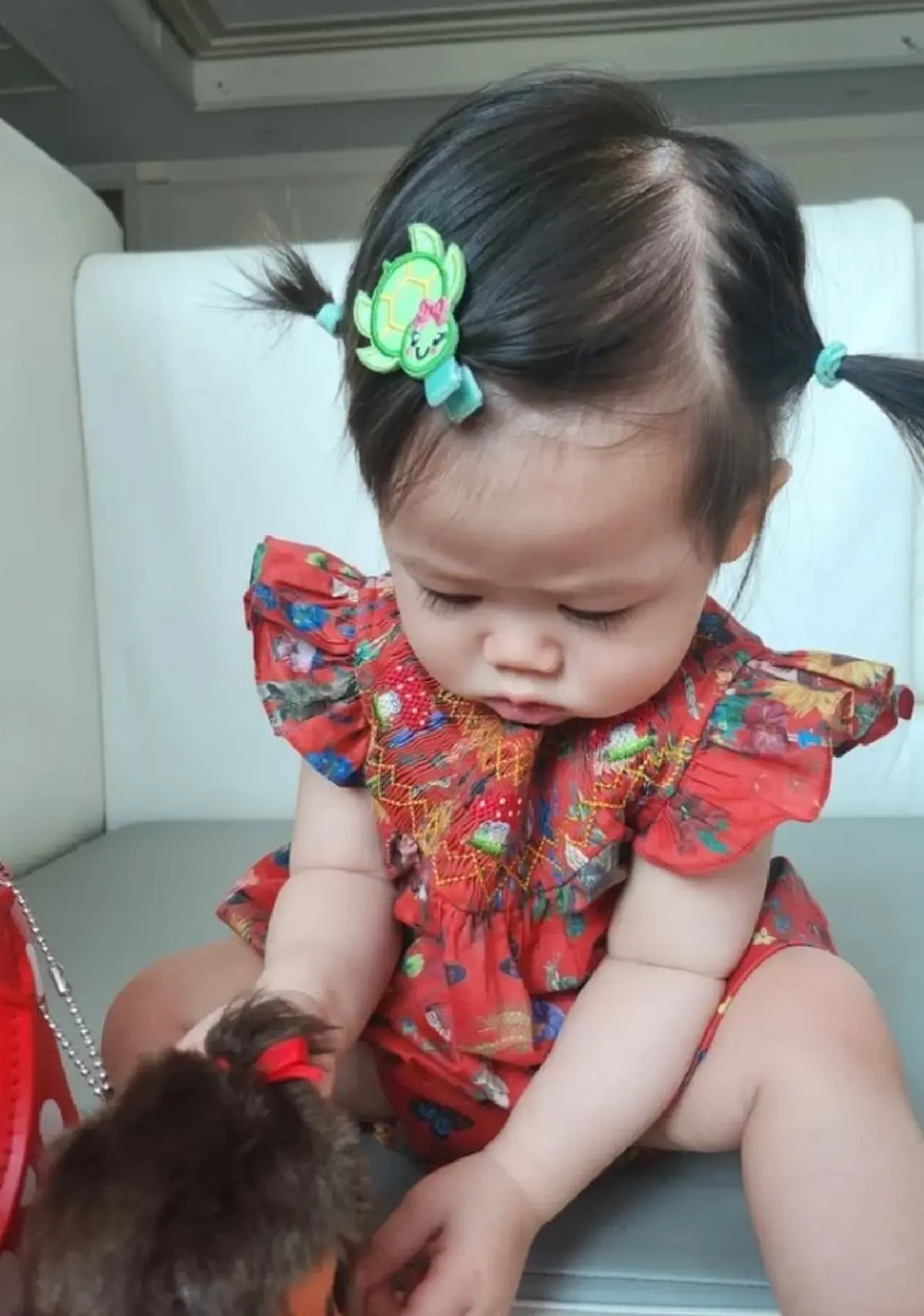น้องแอบิเกล หน้าคล้าย ชมพู่ อารยา