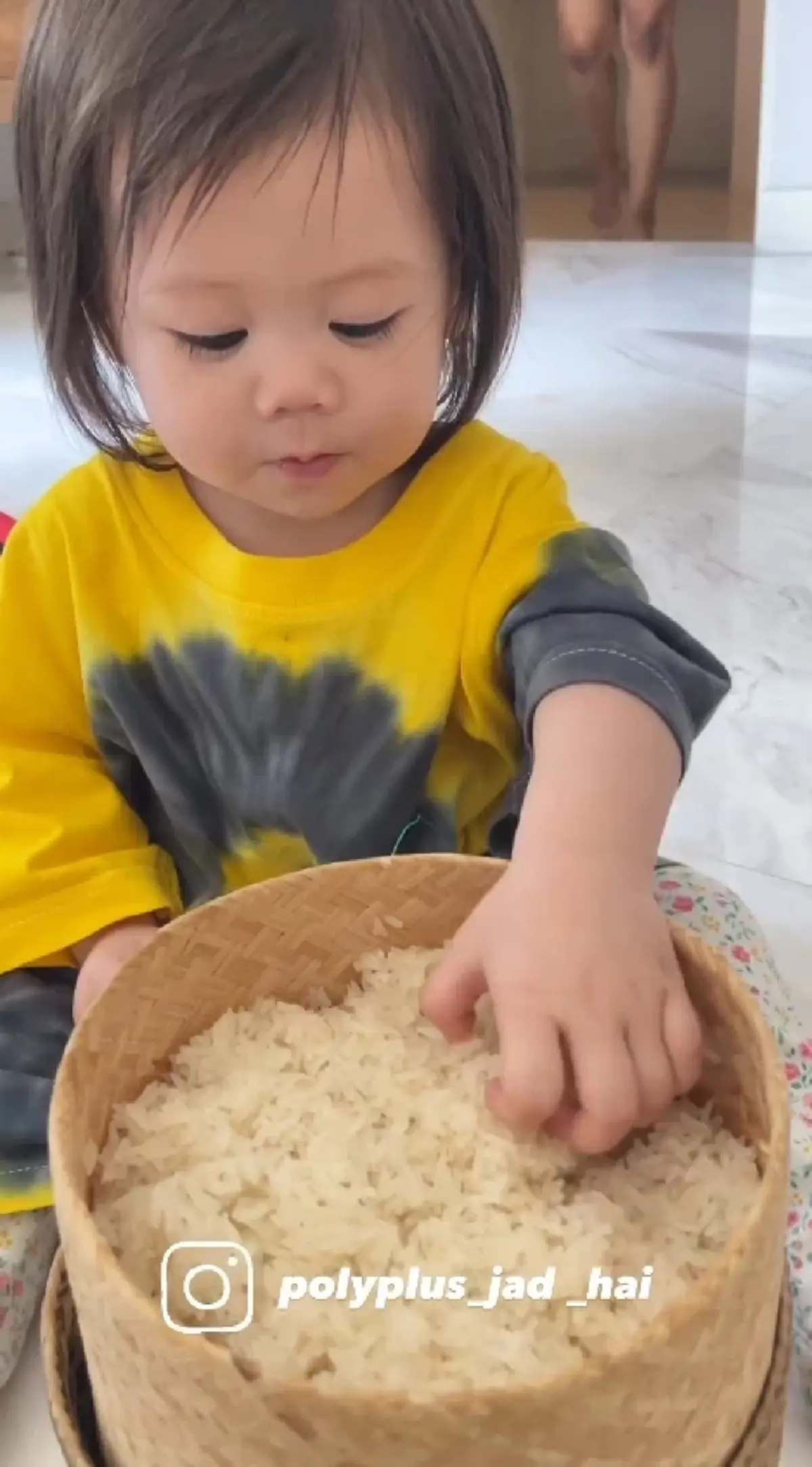 น้องแอบิเกล เดินตามรอย พี่สายฟ้า-พี่พายุ นั่งจกข้าวเหนียวกินอย่างเอร็ดอร่อย 