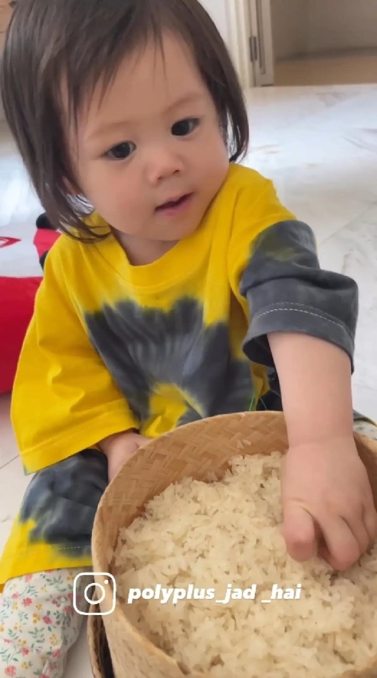 น้องแอบิเกล เดินตามรอย พี่สายฟ้า-พี่พายุ นั่งจกข้าวเหนียวกินอย่างเอร็ดอร่อย 