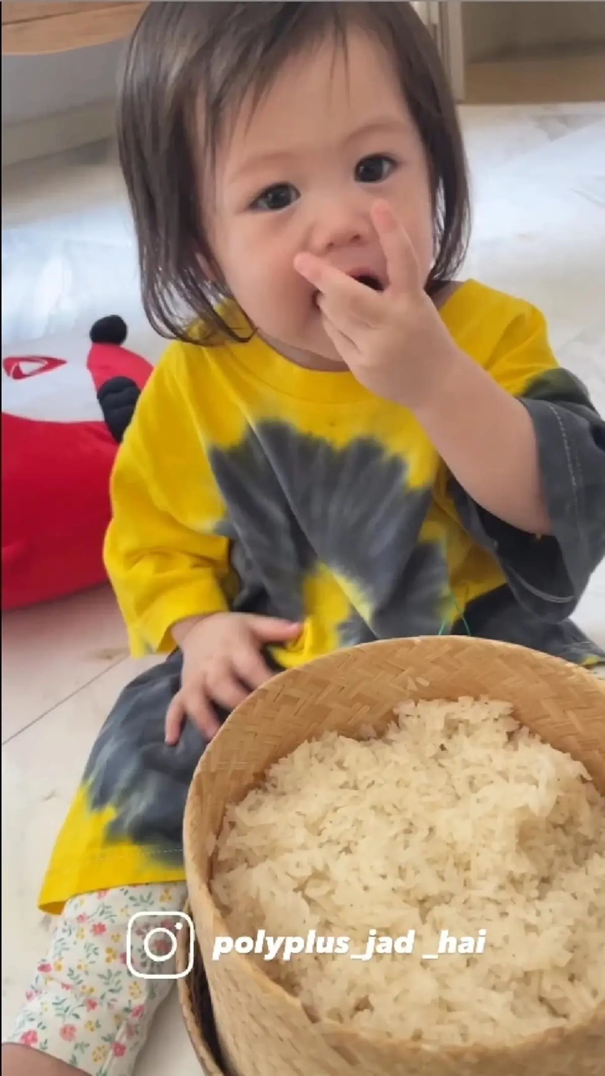 น้องแอบิเกล เดินตามรอย พี่สายฟ้า-พี่พายุ นั่งจกข้าวเหนียวกินอย่างเอร็ดอร่อย 