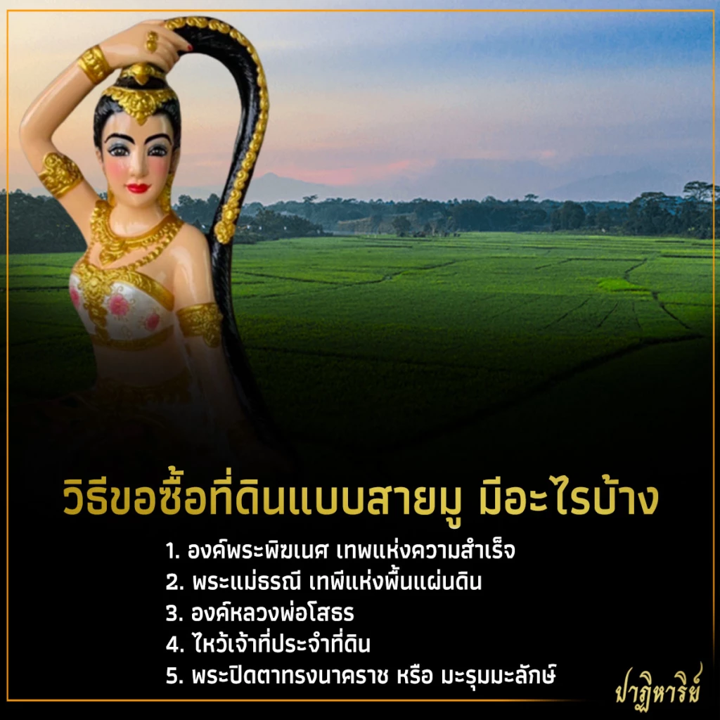 ไหว้ขอซื้อที่ดิน และวิธีขอซื้อที่ดินแบบสายมู มีอะไรบ้าง