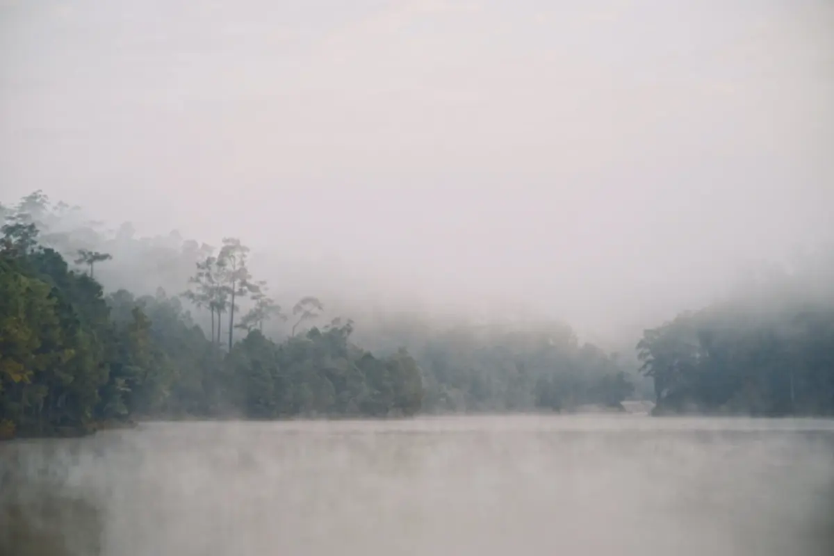 ประกาศเตือนภัยฉบับ 1 ไทยรับมืออากาศหนาว ส่วนภาคใต้ฝนตก คลื่นลมแรง