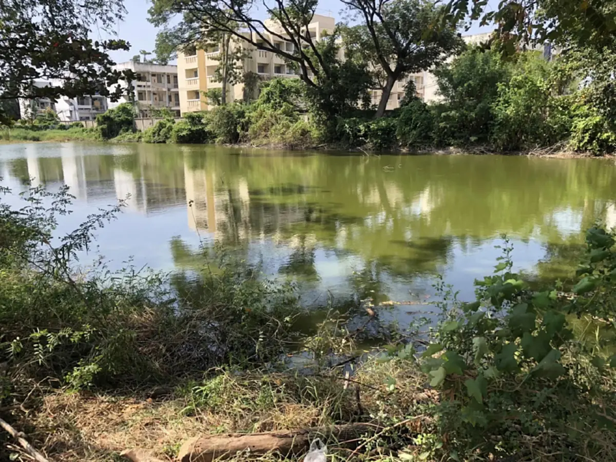 สามีป้ากบ ยอมพูดแล้ว ปมรับผิดแทน 5 โจ๋ หลุดหัวเราะเบาๆ หลังโดนจี้ถามใครสั่ง