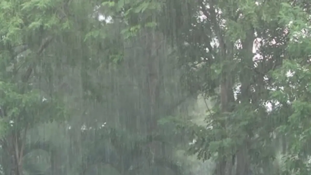 วันนี้หนักอีก เตือนฝนฟ้าคะนองทั่วประเทศ ร้อยละ 30-60 ของพื้นที่