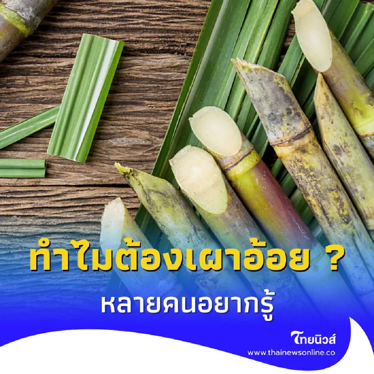 อ้อยเผา vs อ้อยสด ต่างกันอย่างไร