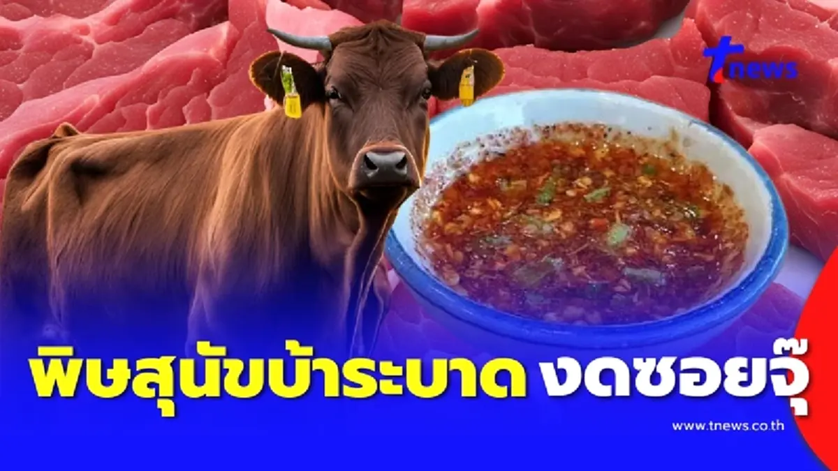 เปิดพิกัดพื้นที่พิษสุนัขบ้าระบาดในวัว ขอนแก่นเตือนด่วน งดซอยจุ๊-เนื้อดิบ
