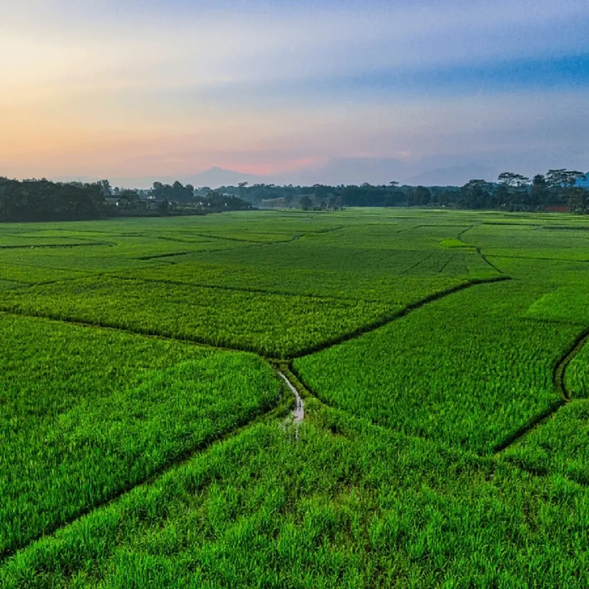 เฉลยแล้ว ที่ดินที่เล็กที่สุดในประเทศตั้งอยู่ที่ไหน