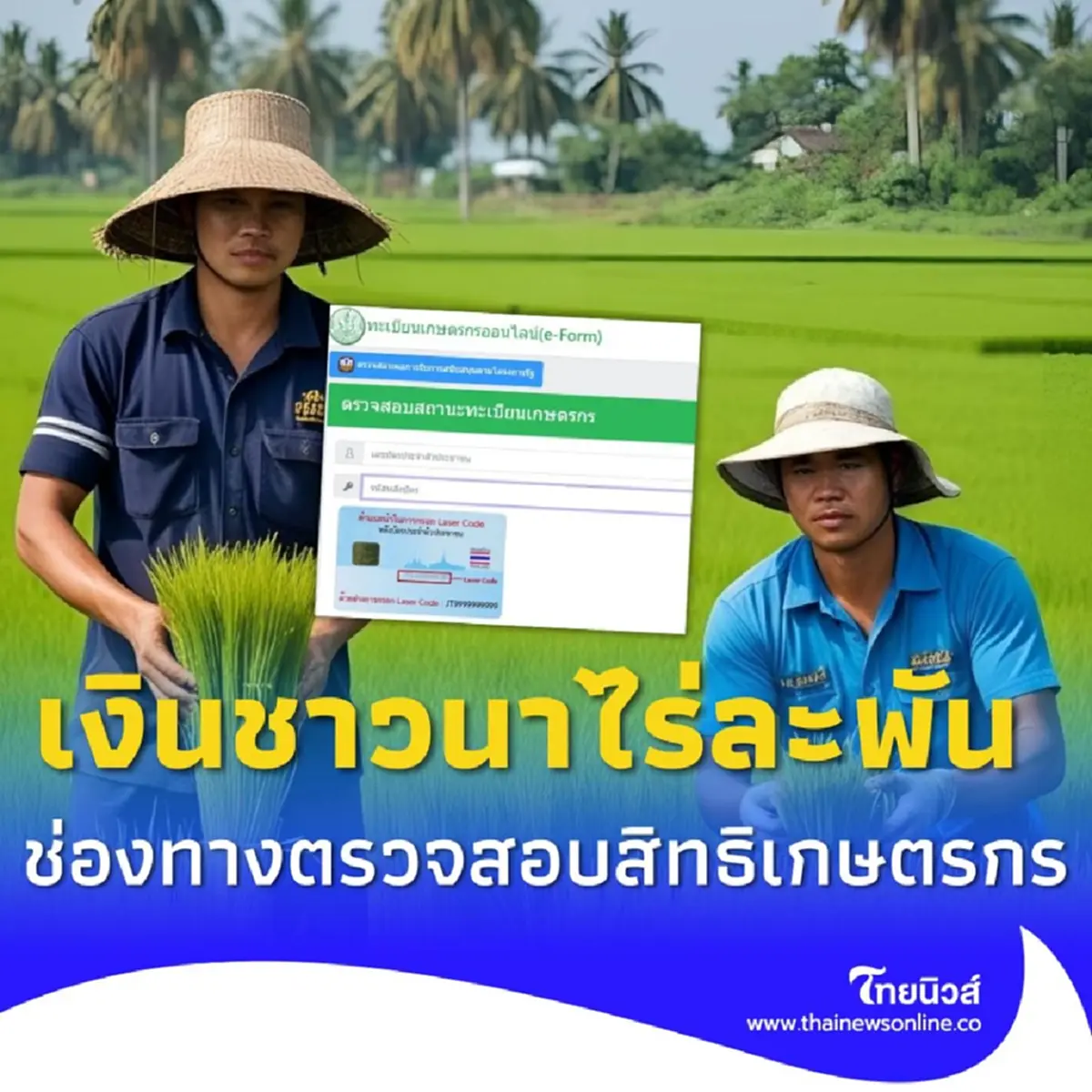 เงินช่วยเหลือชาวนา ช่องทางตรวจสอบสิทธิเกษตรกร รอรับเงินชาวนาไร่ละ 1,000
