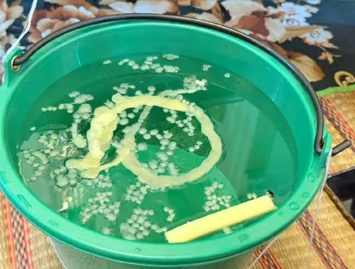 ใครตาดีได้ "ฮาย อาภาพร" เผยเลขขันน้ำมนต์ ทำบุญบ้านครั้งใหญ่