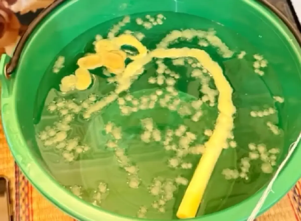 ใครตาดีได้ "ฮาย อาภาพร" เผยเลขขันน้ำมนต์ ทำบุญบ้านครั้งใหญ่