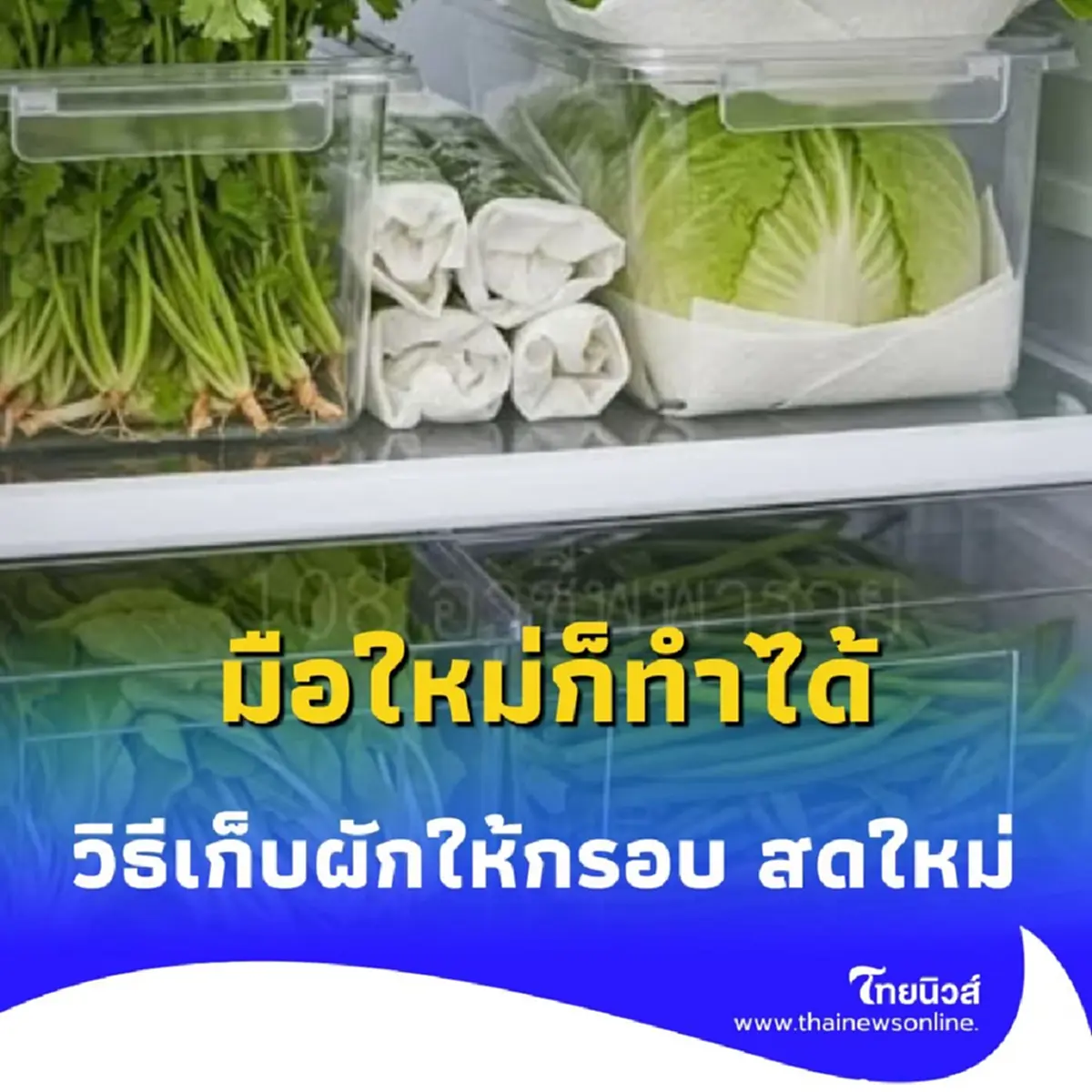 5 วิธีเก็บผักให้กรอบ สดใหม่ ได้นานเกินคาด