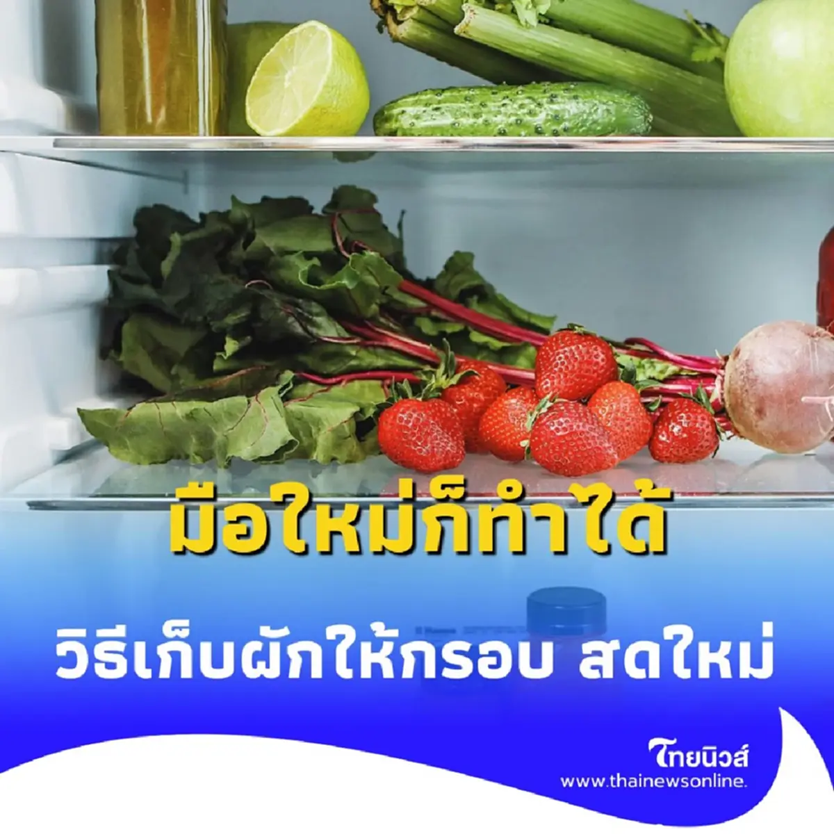 บอกลาผักเหี่ยว 5 วิธีเก็บผักให้กรอบ สดใหม่ ได้นานเกินคาด