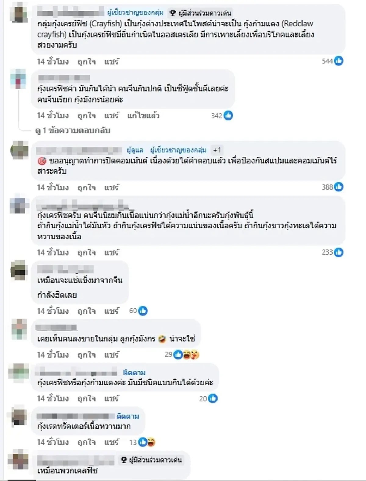 ตัวอะไรกันแน่ กุ้งแปลกในร้านหมูกระทะ ผู้รู้เฉลย ที่แท้ไม่ธรรมดา