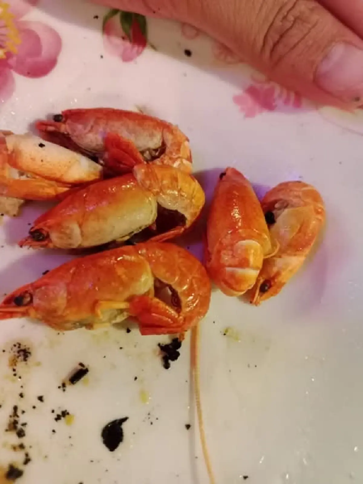 ตัวอะไรกันแน่ กุ้งแปลกในร้านหมูกระทะ ผู้รู้เฉลย ที่แท้ไม่ธรรมดา