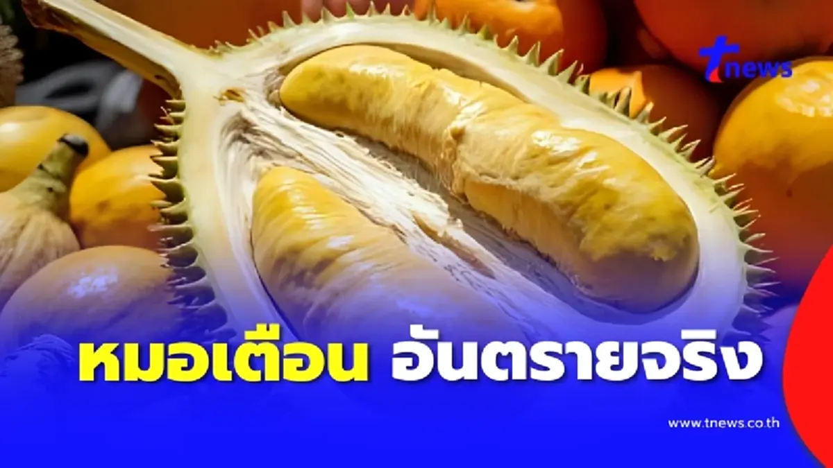 หมอเตือน ทุเรียน มะม่วงสุก กินบ่อยอันตรายจริง สุขภาพพังไม่รู้ตัว
