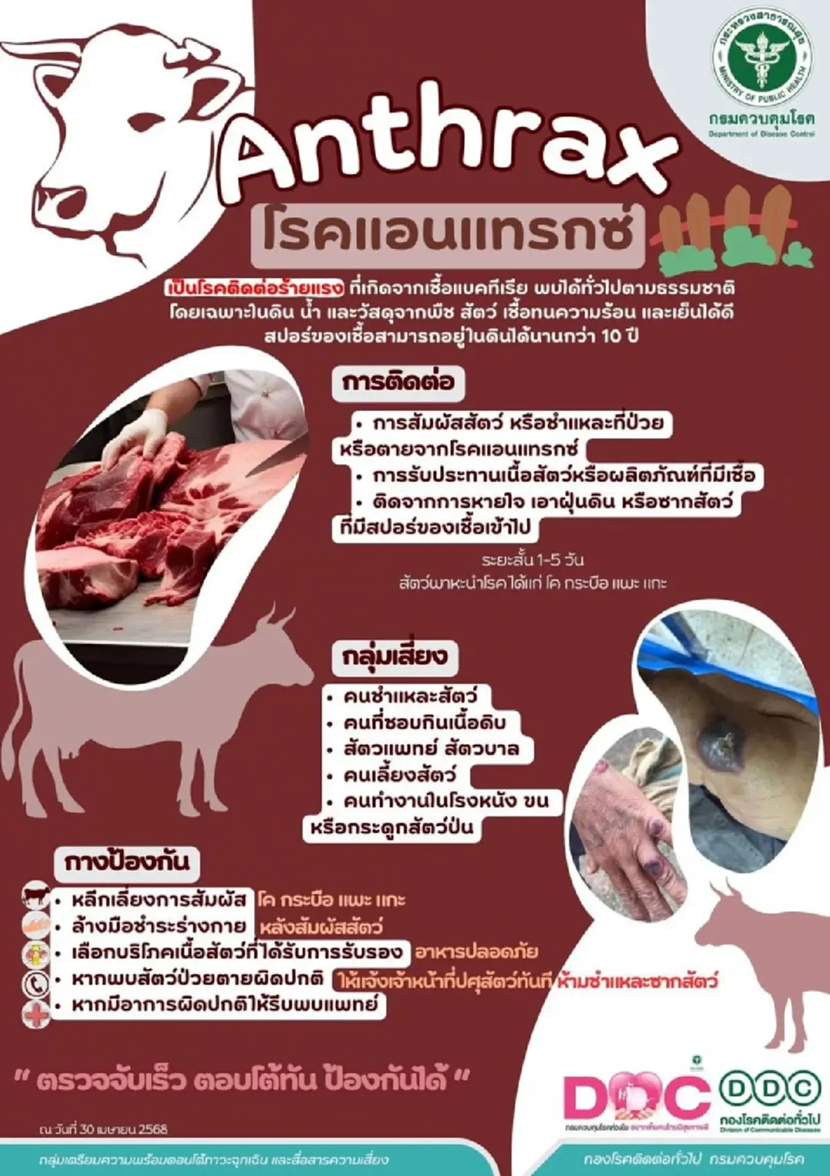 มุกดาหารดับ 1 พบ ป่วยอีก 3 ติดเชื้อแอนแทรกซ์ มีผู้สัมผัส 377 คน