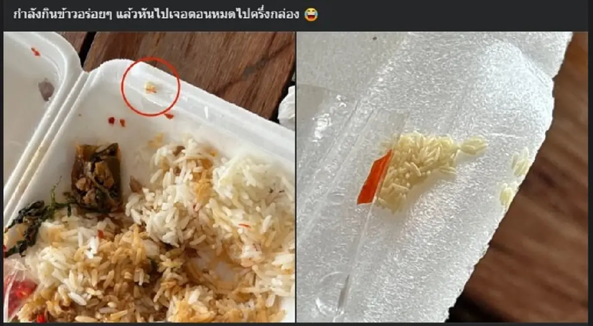 อ้วกจะพุ่ง สาวสั่งข้าวกล่อง กินไปเกินครึ่ง ก่อนมองดี ๆ เจอเต็ม ๆ