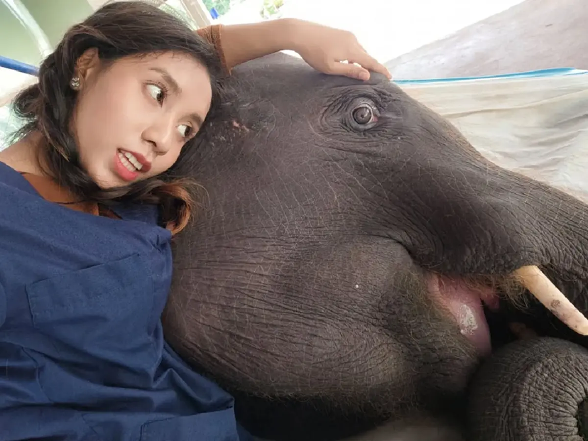 \"หมอโบว์\" วูบล้มเลือดอาบคาง น้ำหนักหาย 3โล หลังสูญเสียครั้งใหญ่