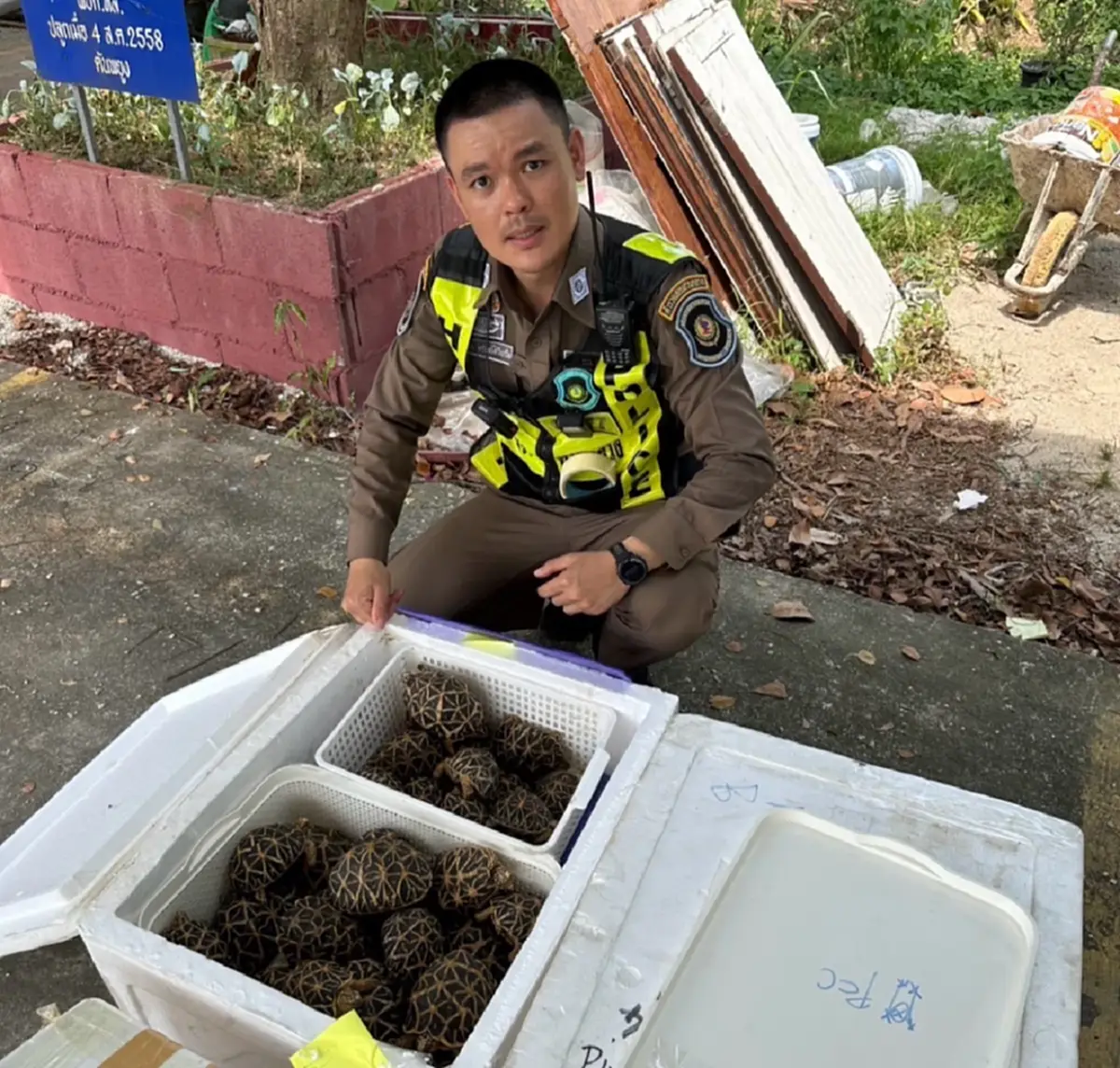 ซุกรถทัวร์2ล้าน ยึดเต่าดาวอินเดีย-ปลามังกร จากประเทศเพื่อนบ้าน
