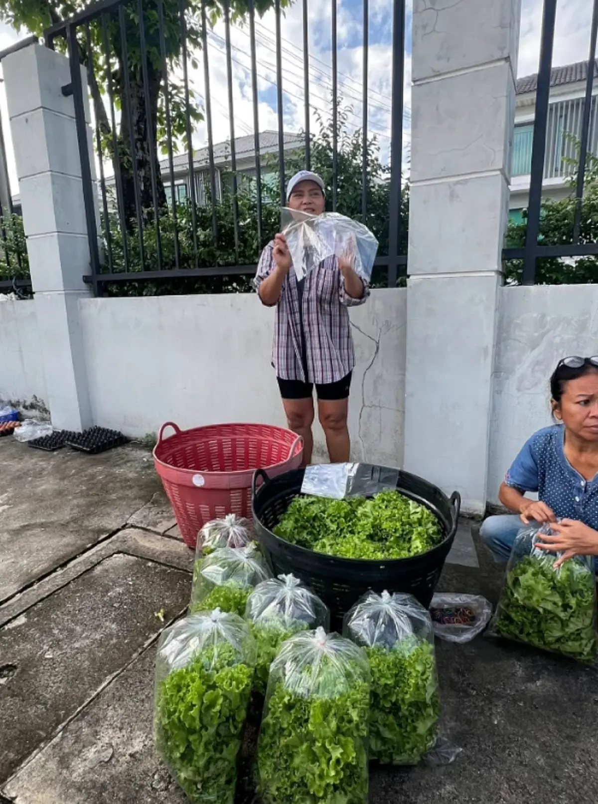 ภาพล่าสุด สุนารี ไม่หมิ่นเงินน้อย นั่งขายผักอยู่ริมทาง