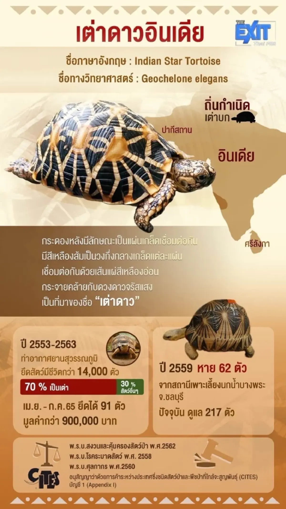 ซุกรถทัวร์2ล้าน ยึดเต่าดาวอินเดีย-ปลามังกร จากประเทศเพื่อนบ้าน