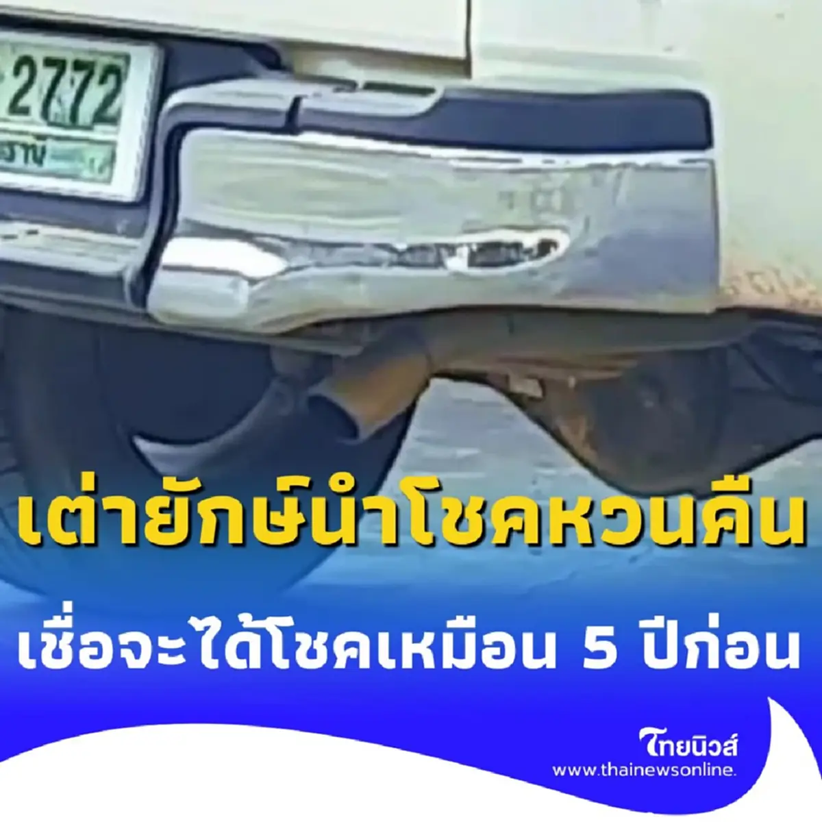 เต่ายักษ์กลับมาให้โชค หลังเมื่อ 5 ปีก่อน เคยได้รับโชคมาแล้ว