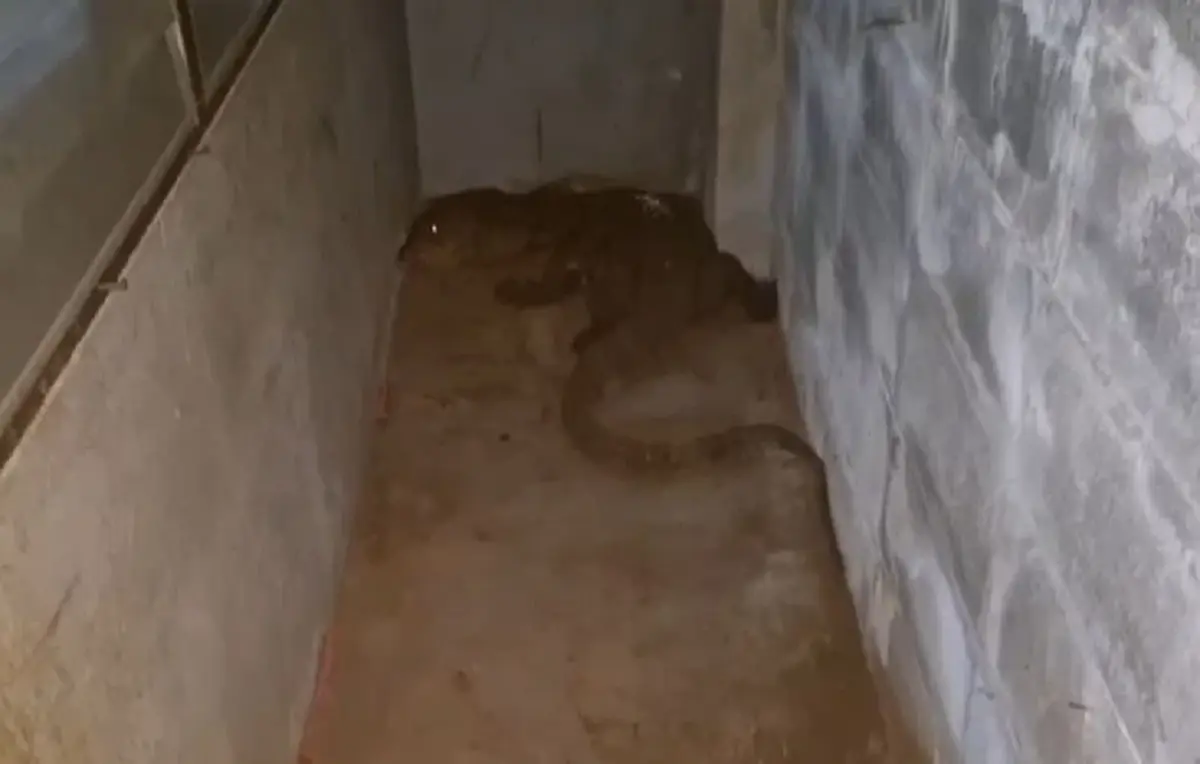 ตัวเงินตัวทองบุกร้านค้า เจ้าของเชื่อมาให้โชค งวดนี้ขอจัดเต็ม