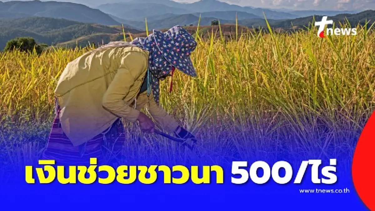 เงินช่วยเหลือชาวนา 500 บาทต่อไร่ ถึงมือแน่ เปิดรายละเอียดทั้งหมดที่นี่