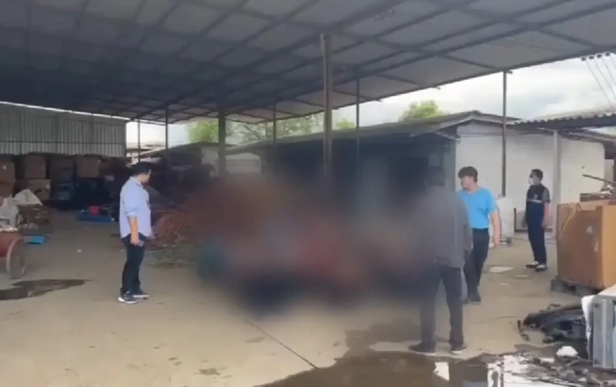 บุกทลายแหล่งซุกซ่อนแรงงานเถื่อน ยึดกระสุนปืนสงครามกว่า 200 นัด