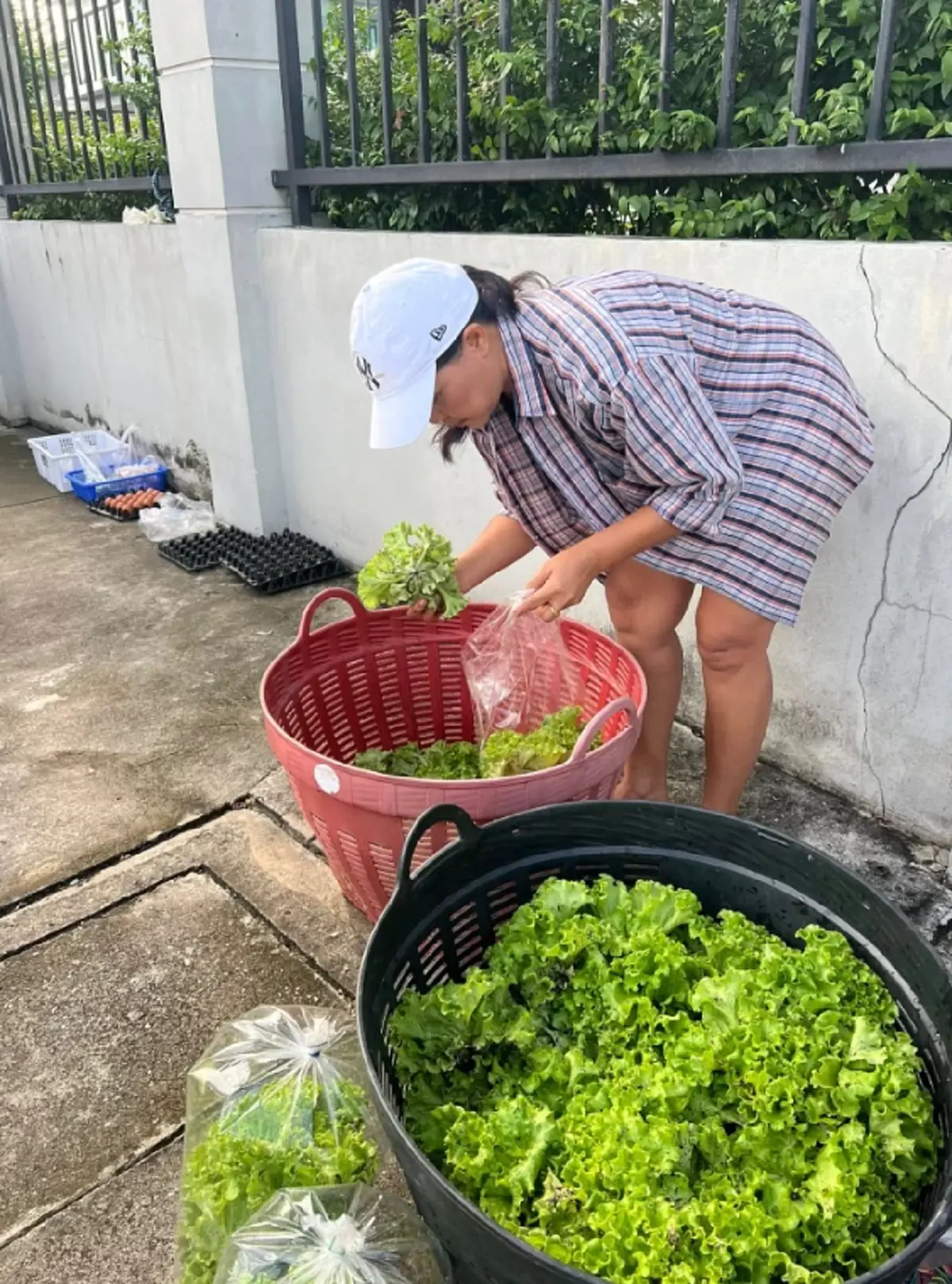 ภาพล่าสุด สุนารี ไม่หมิ่นเงินน้อย นั่งขายผักอยู่ริมทาง