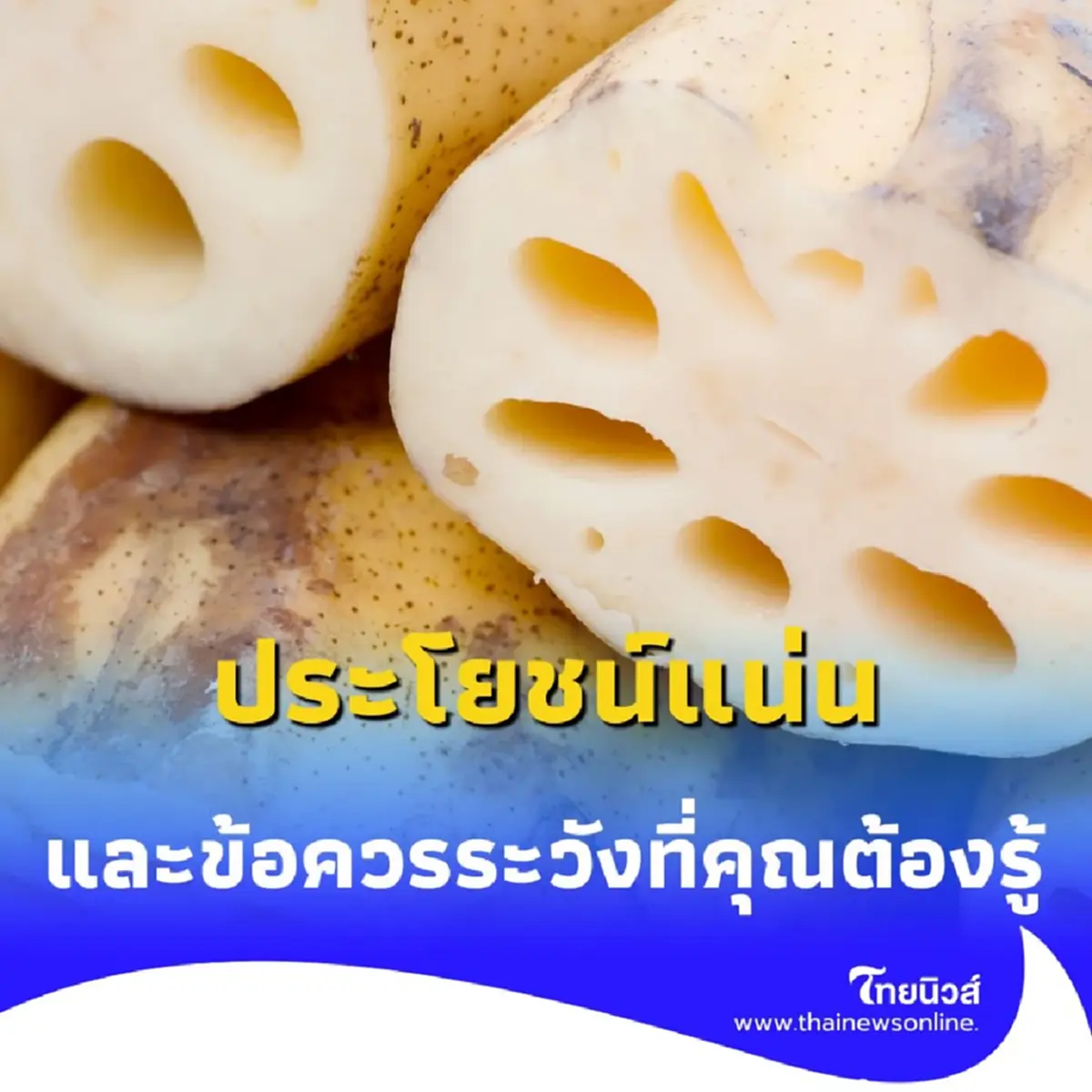 รากบัว ประโยชน์แน่น สรรพคุณทางสุขภาพ และข้อควรระวังที่คุณต้องรู้