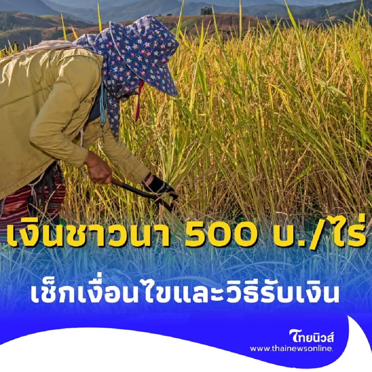 เงินช่วยเหลือชาวนา 500 บาทต่อไร่ ถึงมือแน่ เปิดรายละเอียดทั้งหมดที่นี่