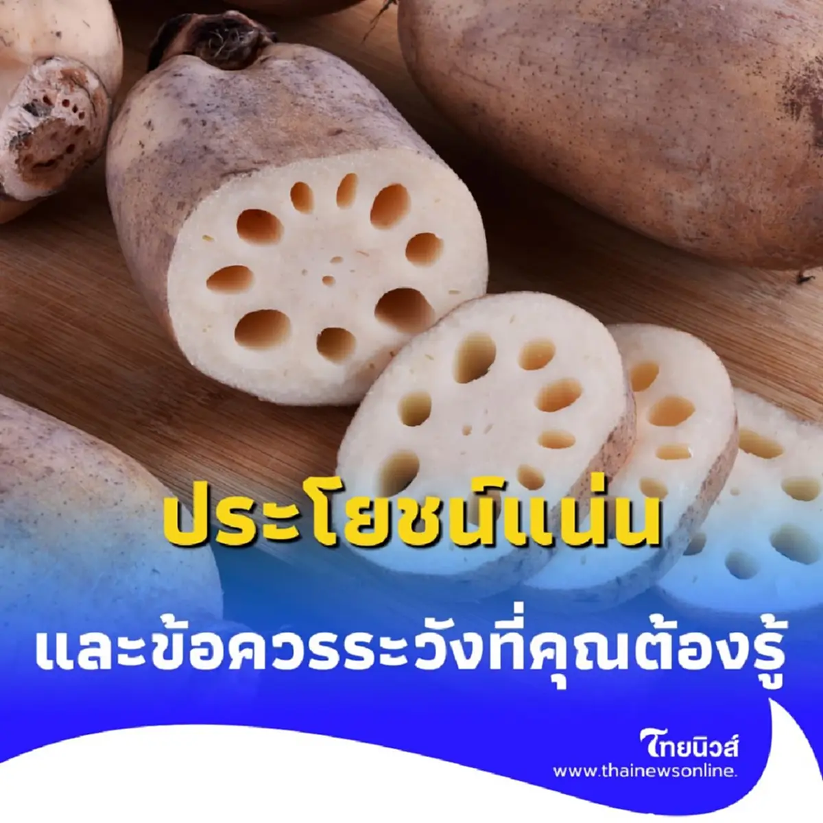 รากบัว ประโยชน์แน่น สรรพคุณทางสุขภาพ และข้อควรระวังที่คุณต้องรู้
