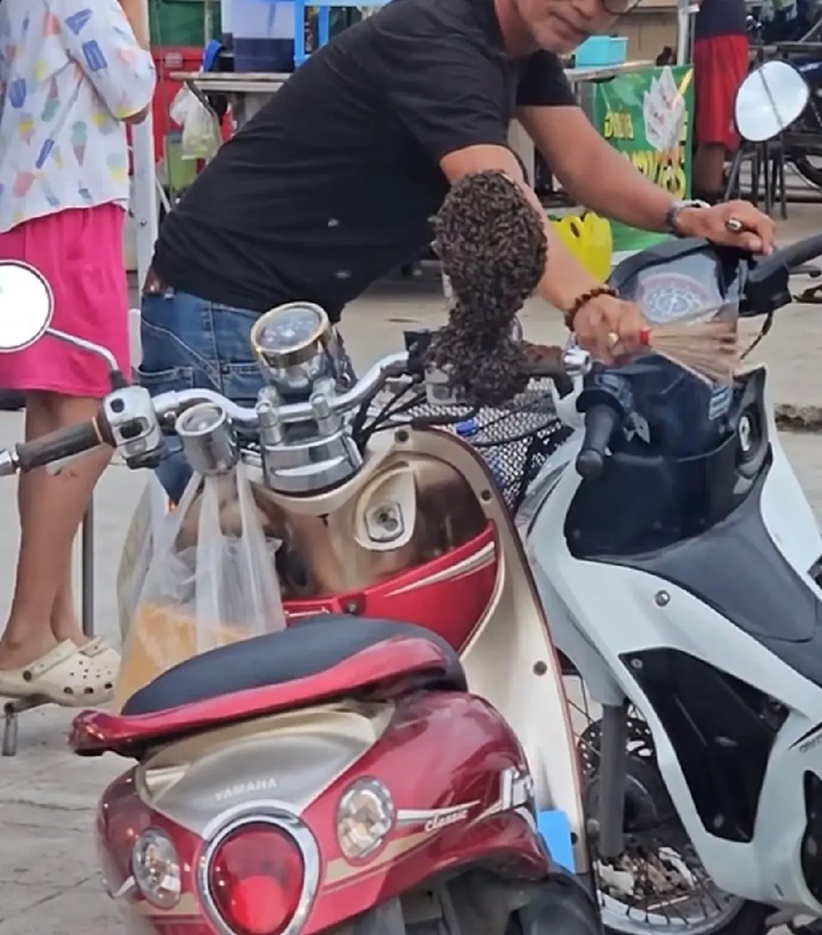 ฮือฮา แห่ส่องเลขทะเบียน จยย. จอดรถแป๊บเดียว ผึ้งมาเกาะทำรัง 