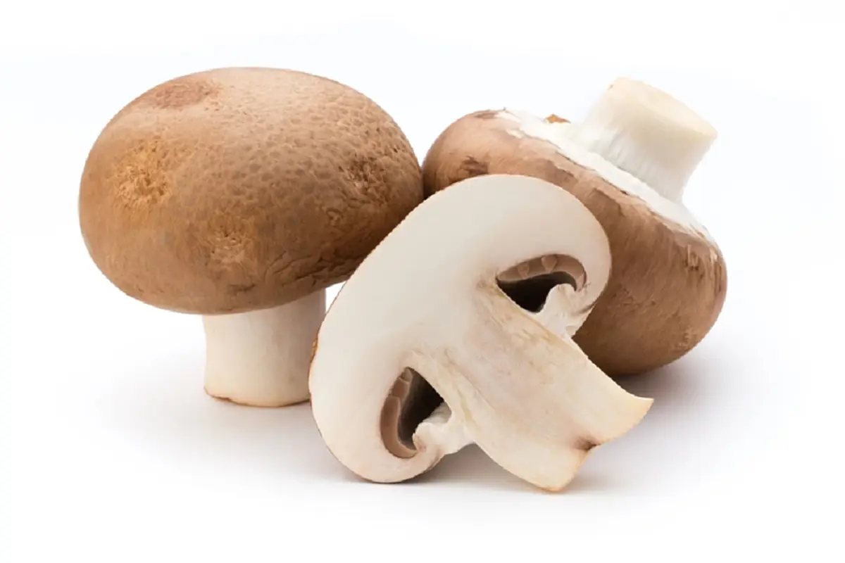 5 กลุ่มเสี่ยงห้ามกินเห็ด เสี่ยงอันตรายต่อร่างกายโดยไม่รู้ตัว