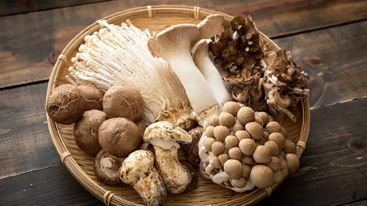 5 กลุ่มเสี่ยงห้ามกินเห็ด เสี่ยงอันตรายต่อร่างกายโดยไม่รู้ตัว