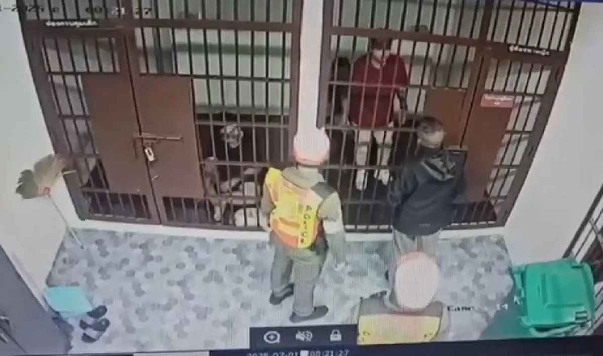 หนุ่มเมาหัวร้อน ญาติไม่มาประกันตัว สาวหมัดใส่ ตร.บางเขน หน้ายับ