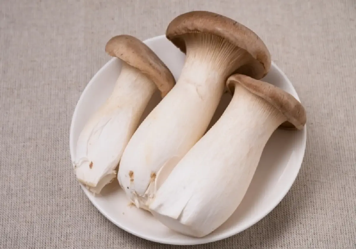 5 กลุ่มเสี่ยงห้ามกินเห็ด เสี่ยงอันตรายต่อร่างกายโดยไม่รู้ตัว