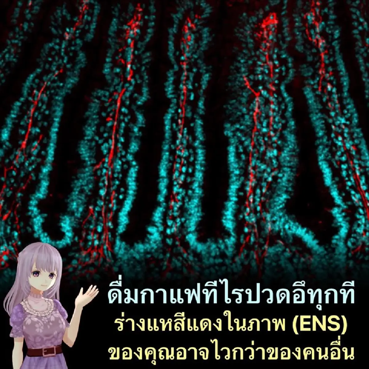 รู้แล้ว ทำไมบางคน กินแล้วปวดอึทันที 1 ใน 3 ของประชากร มีอาการนี้ 