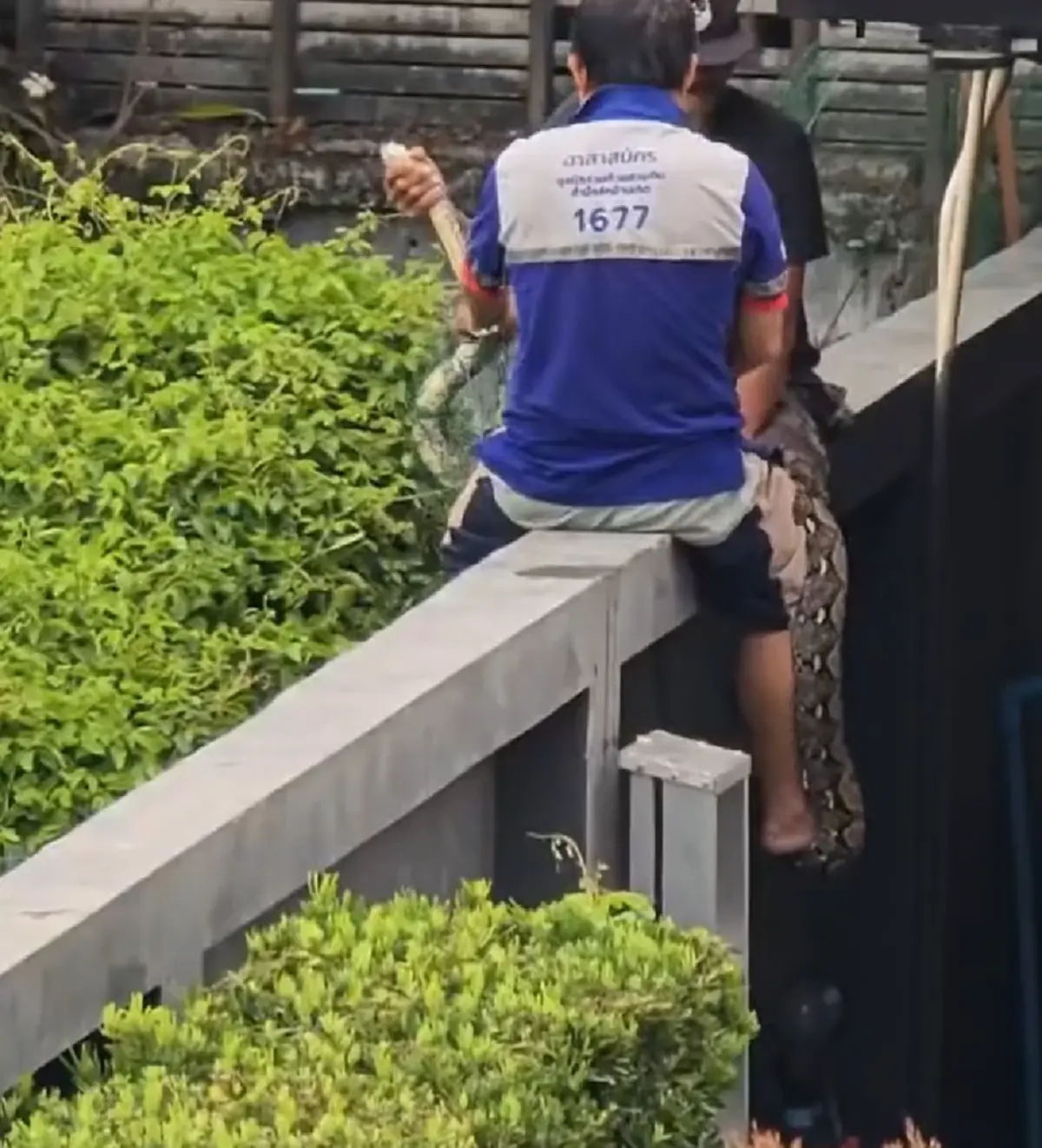 ดีเจต้นหอม กรี๊ดลั่น งูตัวใหญ่เข้าบ้าน บอกบ้านเลขที่ชัด ไม่ต้องถาม