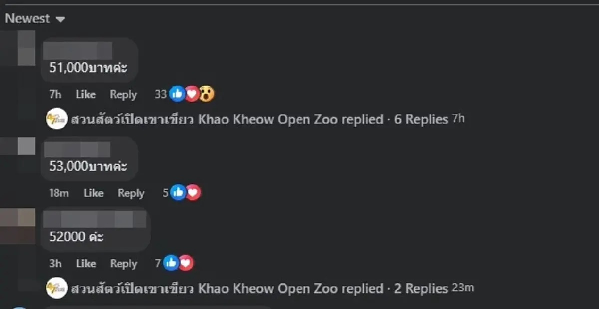 เปิดราคาล่าสุด ประมูล รอยเท้าหมูเด้ง บอกเลย ตอนนี้ไปไกลแล้ว 