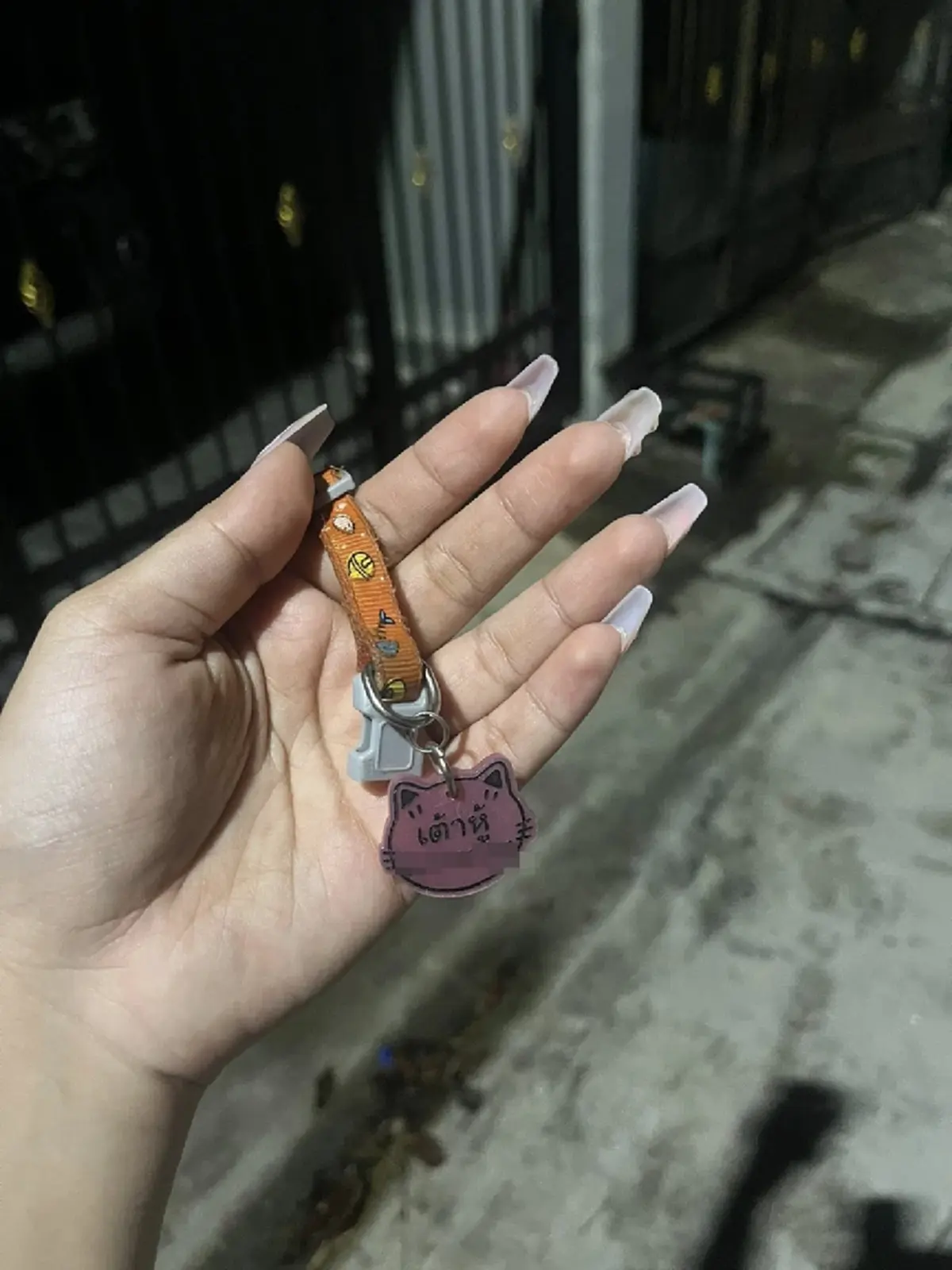 สุดสลด เต้าหู้ ถูกสุนัขรุมดับ เขมรฉกซากไปกิน รีดเงินเจ้าของ 200