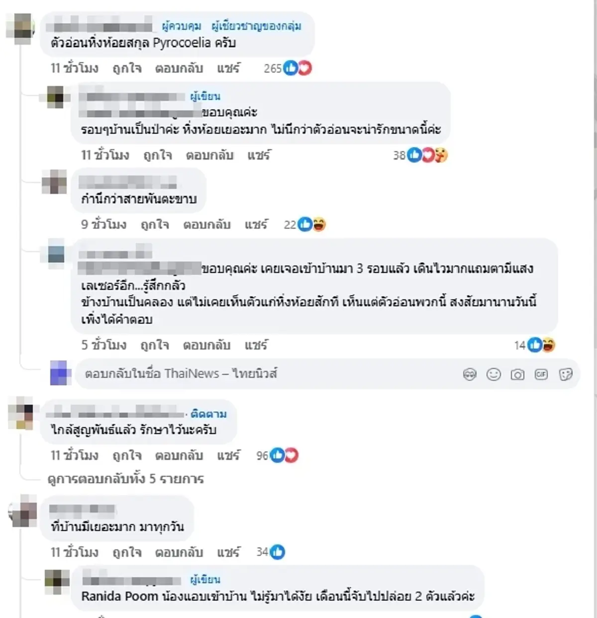 ผู้รู้เฉลยแล้ว ตัวประหลาดเรืองแสงเข้าบ้าน หายากใกล้สูญพันธุ์