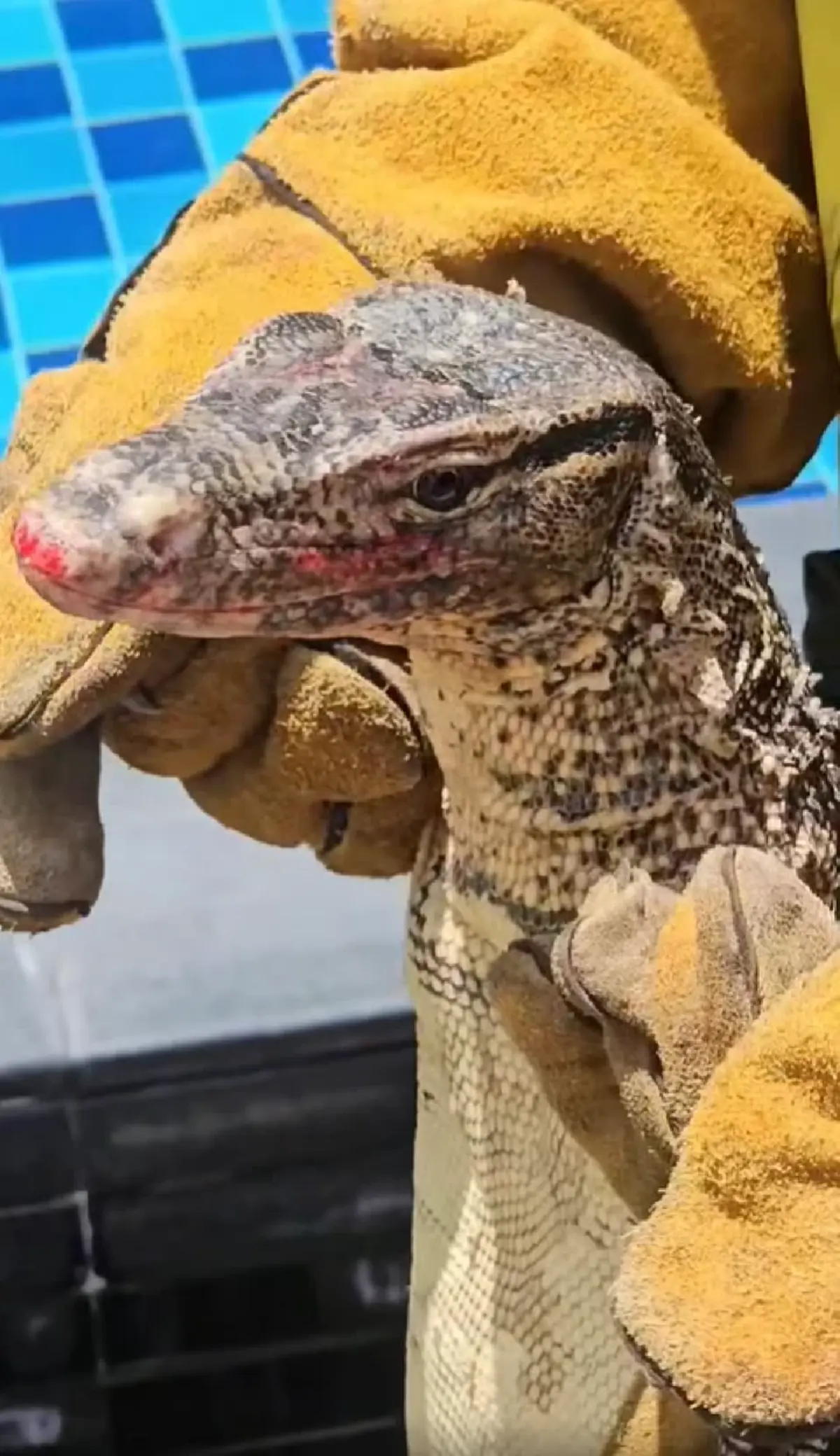 แห่ขอเลขที่บ้าน ดีเจเพชรจ้า เจอตัวแสบทำต้องรื้อบ้าน เสียหายหนัก