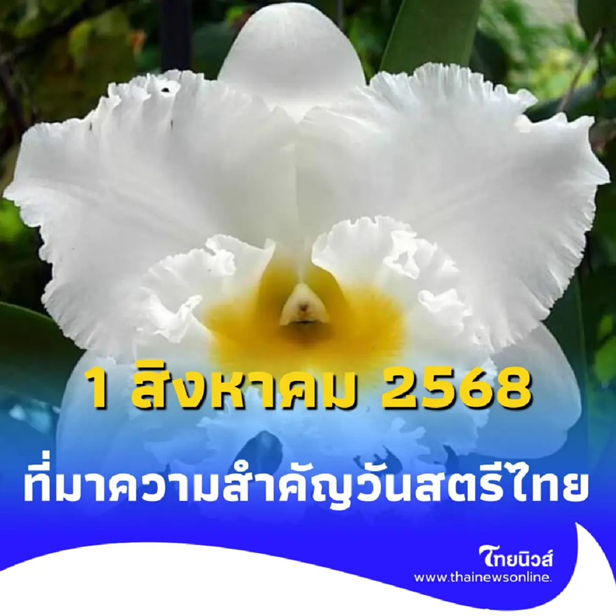 วันสตรีไทย เบื้องหลังวันสำคัญนี้ เปลี่ยนชีวิตผู้หญิงไทยให้ เข้มแข็งและมีอาชีพ