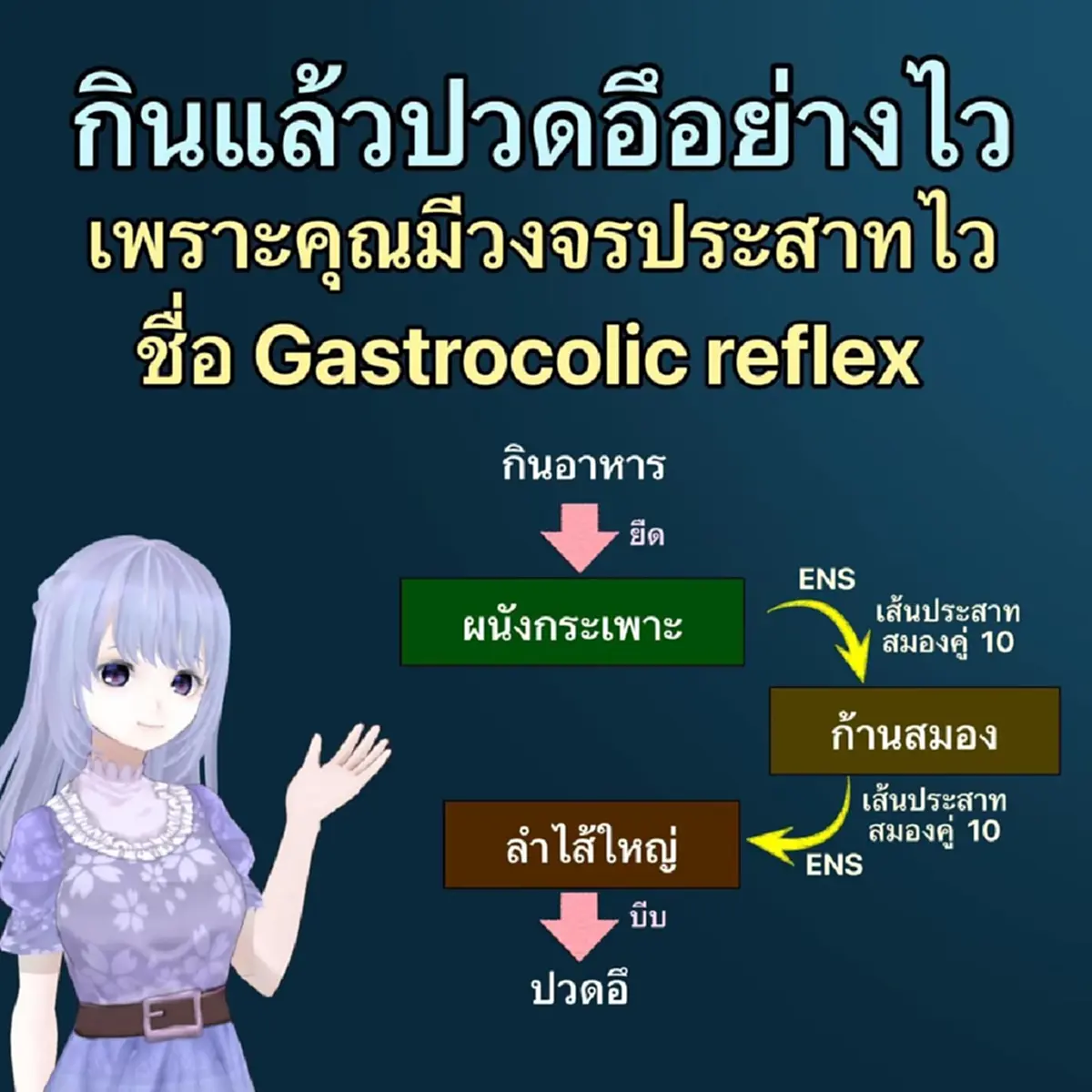 รู้แล้ว ทำไมบางคน กินแล้วปวดอึทันที 1 ใน 3 ของประชากร มีอาการนี้ 
