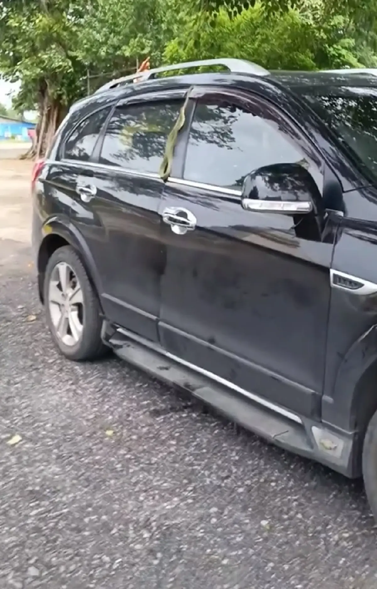 แตกตื่น งูเขียวเจอประตูรถหนีบในวันเข้าพรรษา แห่โฟกัสเลขทะเบียน