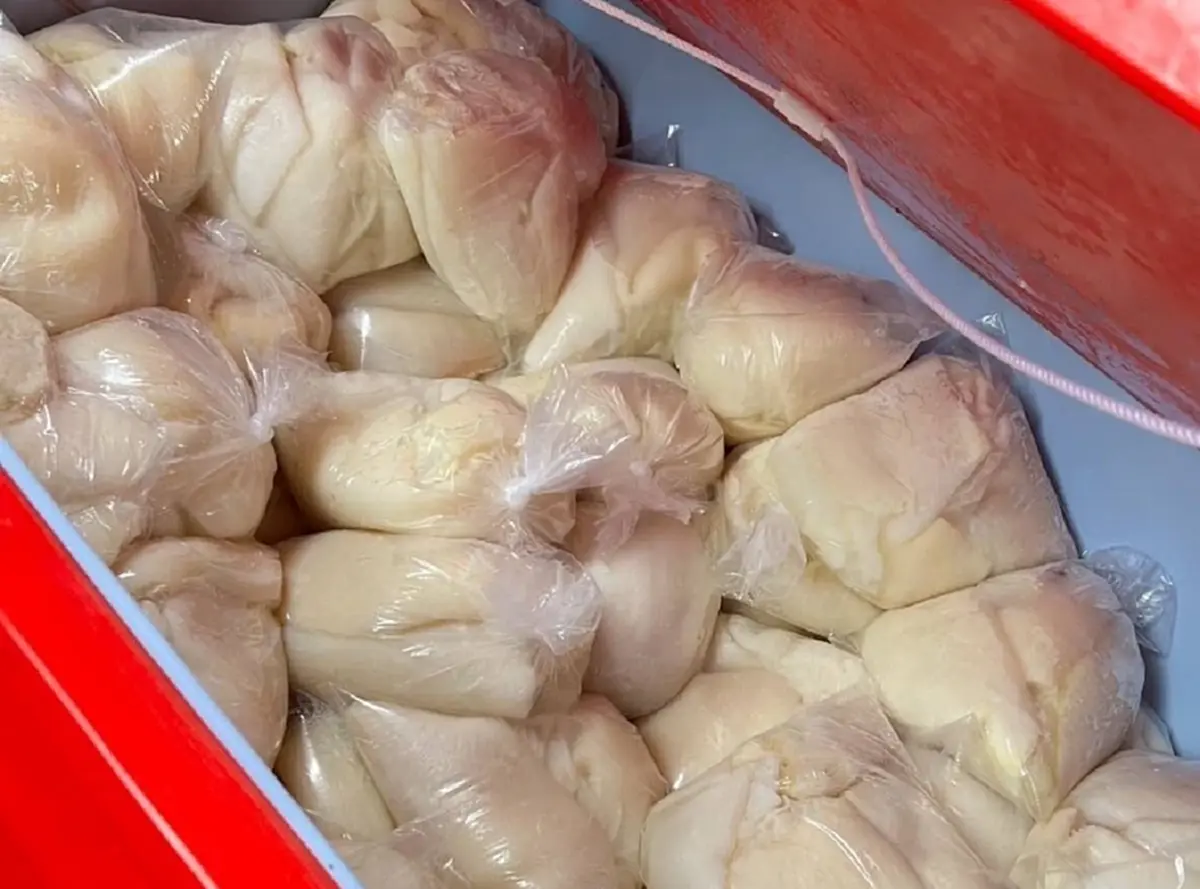 ทลายห้องเย็นเนื้อเถื่อนแช่ฟอร์มาลีน 4 หมื่นกก. ส่งขายทั่วกรุง