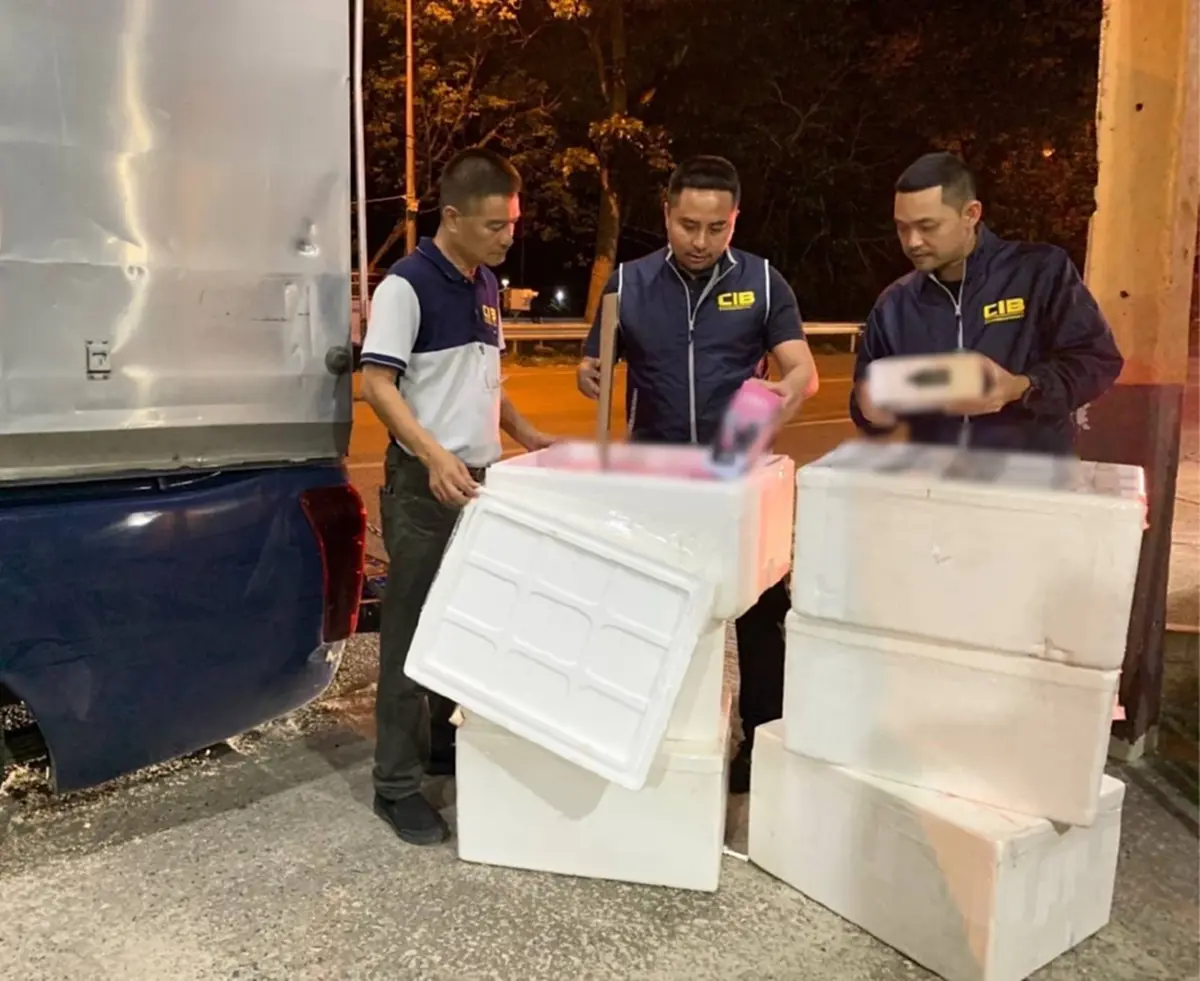 ลังโฟมเขียน"ปูนา"ก็ไม่รอด รวบหนุ่มกระบะตู้ทึบ เจอของกลาง 2 ล้าน